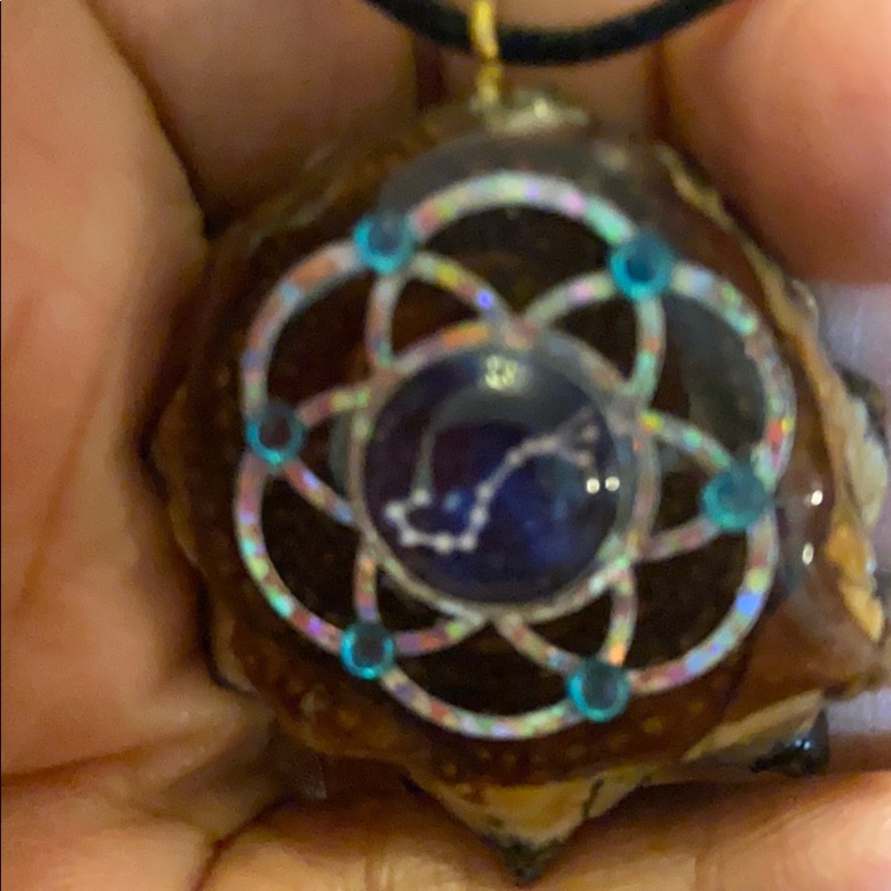 Polished Wood necklace